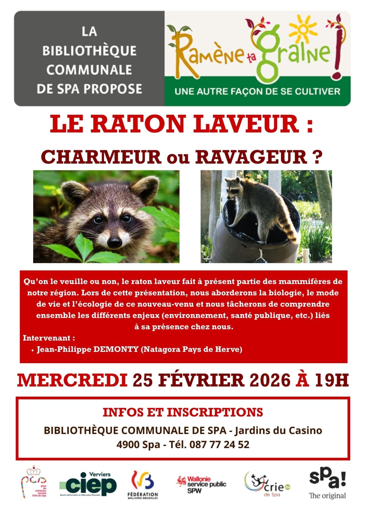 Spa | 25/02 | Grainothèque: Le raton laveur, un nouveau voisin ...